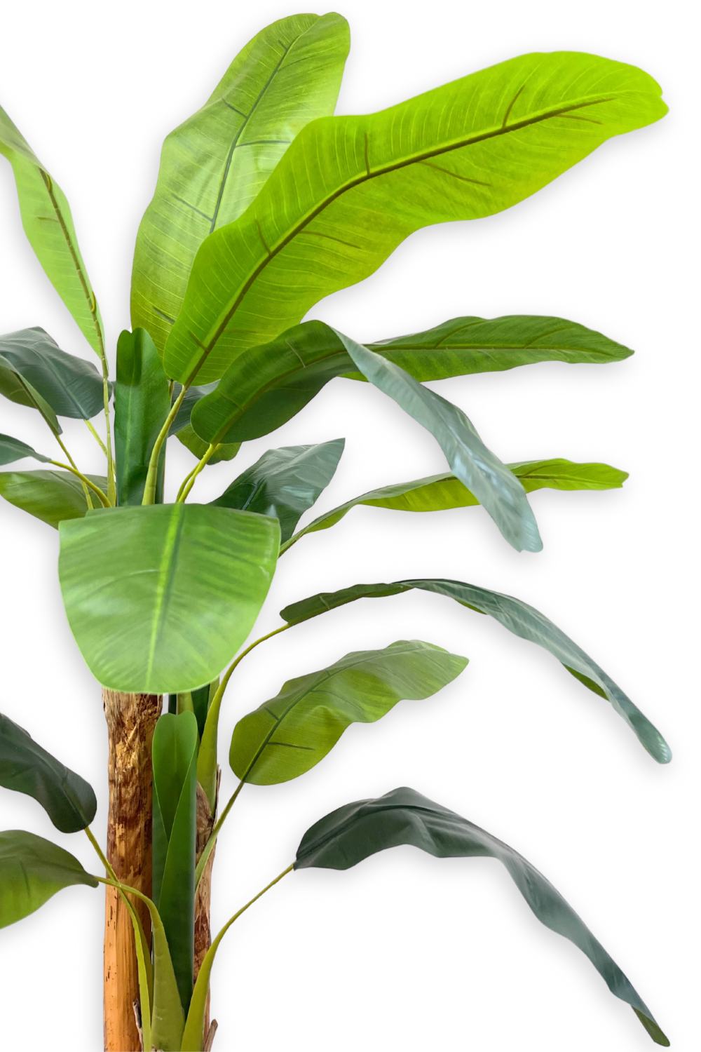 Sztuczna Roślina Bananowiec 180 cm