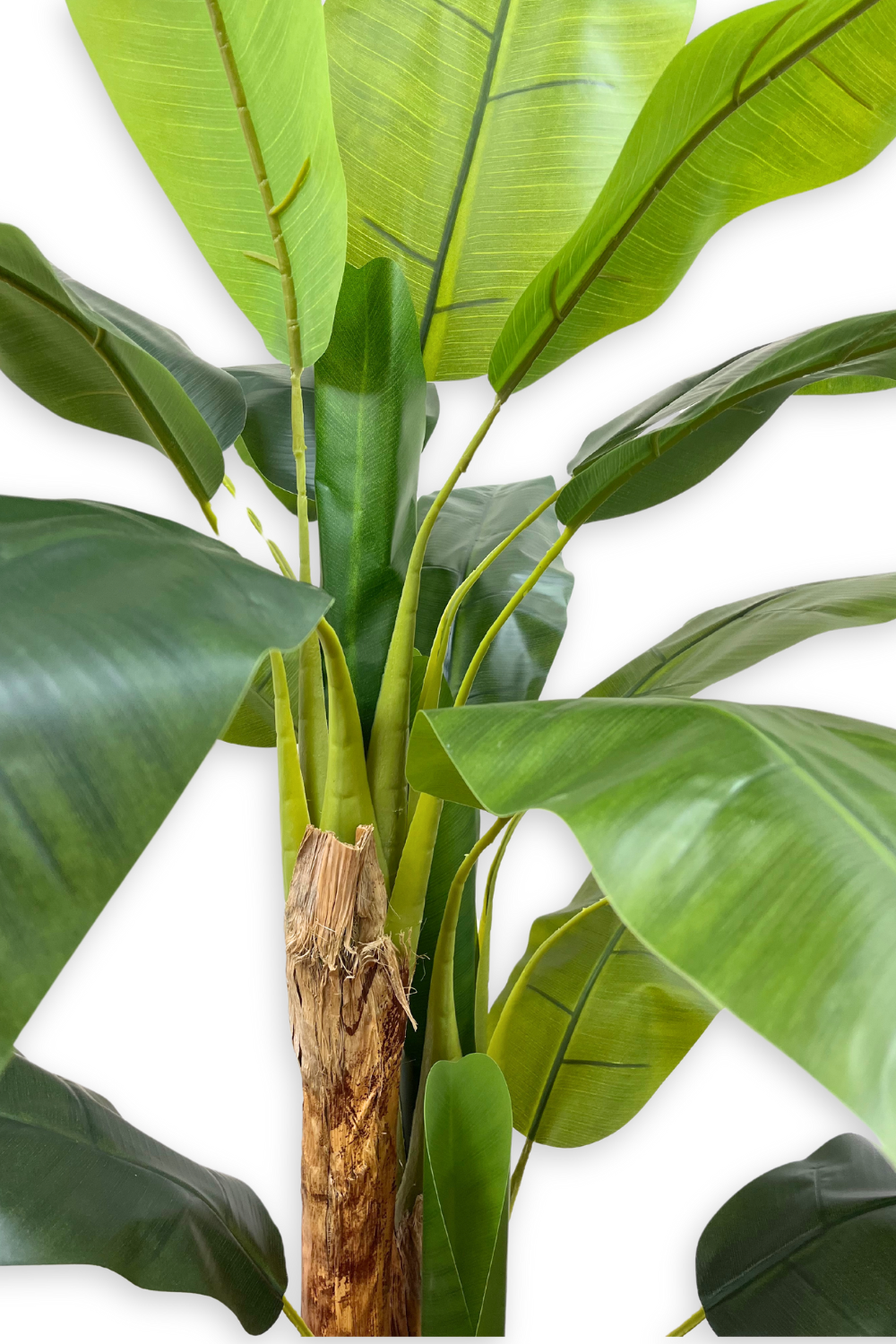 Sztuczna Roślina Bananowiec 180 cm