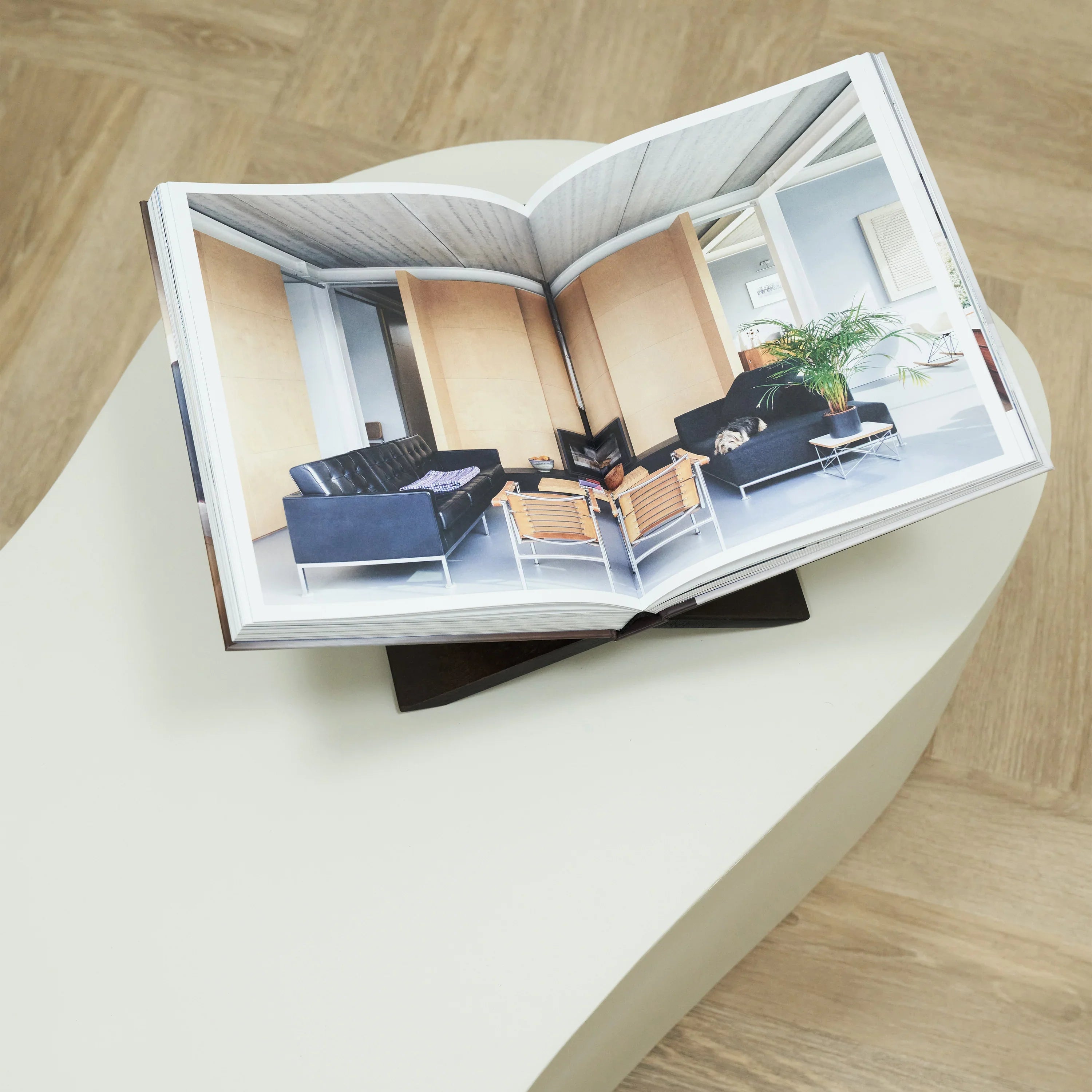 Minimalistyczny Duży Nieregularny Stolik Kawowy z Betonu – Biały