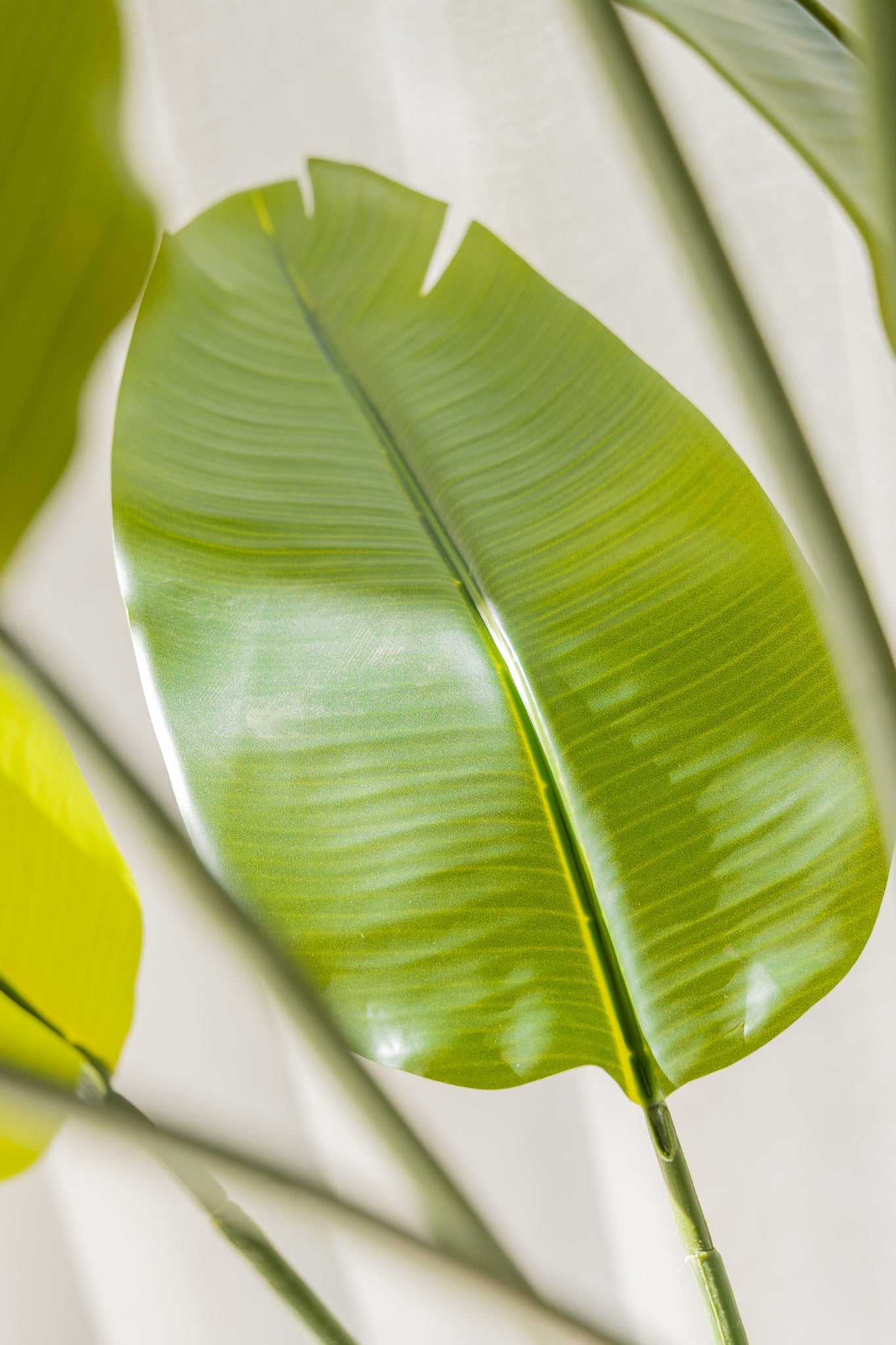 Sztuczna Roślina Strelitzia 180 cm